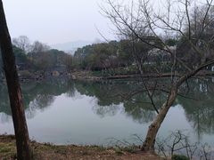 -西溪国家湿地公园