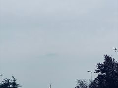 -索纳斯咖啡(海安路店)