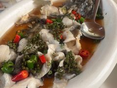 -陶缘一号·四季缘·老字号顺德菜·户外婚礼家宴(西滘店)