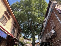 -杭州西湖风景名胜区-满觉陇四眼井