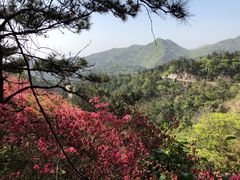 -木兰云雾山