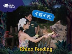 -夜间野生动物园