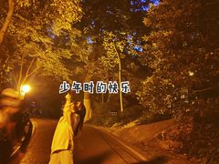 -茶颜悦色(登高路上店)