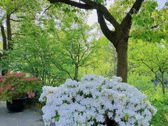 -上海滨江森林公园