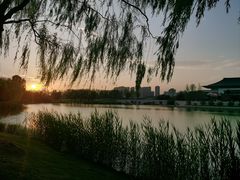 -西安浐灞国家湿地公园