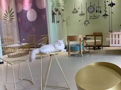 -藏猫猫咖啡主题馆(中央大道店)