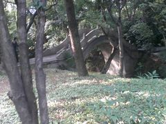 -汇龙潭