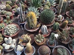 -南通洲际绿博园