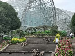 -南山植物园