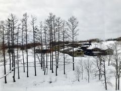 -二世古滑雪场