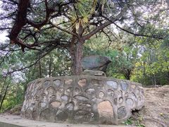 -北京鹫峰国家森林公园