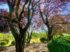 -洛阳周王城天子驾六博物馆