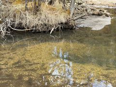 -白马王朗自然风景区