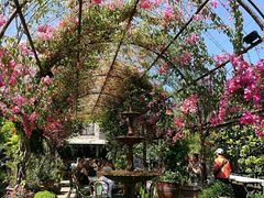 -The Grounds of Alexandria
