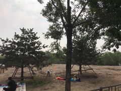 -东郊湿地公园