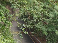 -小南山公园