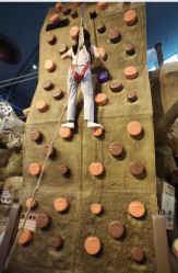 -卡通尼·Safari非洲探索乐园·生日会(金桥国际商业广场店)