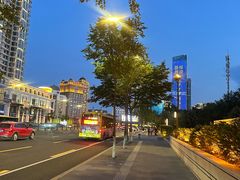 -香宫中餐厅·东北菜·铁锅炖·广式点心(哈尔滨香格里拉店)