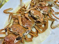 清蒸大闸蟹-东鸽皇(奥园·中环广场店)
