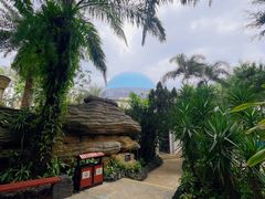 -海口观澜湖火山温泉谷