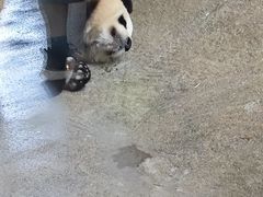 -宁波野生动物园