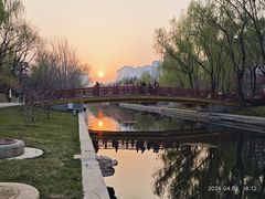 -元大都城垣遗址公园