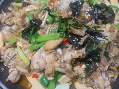 -蛙喔牛蛙(高新绿宝店)