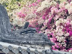 -深圳国际园林花卉博览园