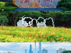 -海珠湖公园