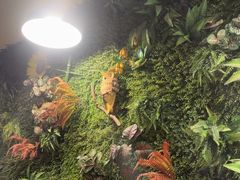 -味之绝热血美蛙鱼火锅(中坝店)