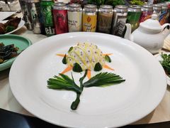 -丁老爷子苏香圆