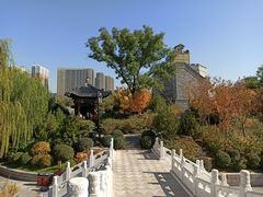 -迎泽公园