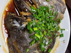 鸦片鱼头-红灯笼龙凤饭店(宁波老字号店)