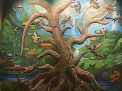 -辽宁古生物博物馆