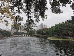 -荔湾湖公园