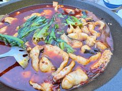 香辣石锅鱼-九寨沟石锅鱼(沣峪口二十年店)