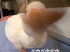 -黄胜记肉干(思明店)