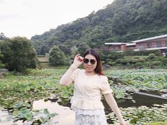 -桃花岭景区