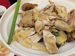 -坚记酒家·佛山老字号·顺德鱼生标准示范店