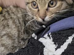 -美联众合动物医院·24h转诊中心