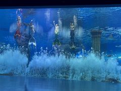 -哈尔滨波塞冬海底世界