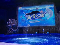 -华夏文旅海洋公园