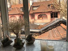 -蝶舍·MAISON PAPILLON