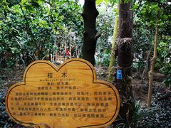 -呀路古热带植物园