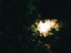 -月满港海鲜酒家
