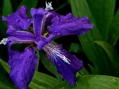 -贵阳市花溪国家城市湿地公园