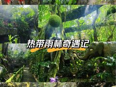 -青青世界