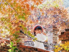 -田野绿世界