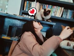 -吉丁鸟咖·异宠·寄养