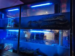 -令狐冲烤鱼·烧菜馆(达明店)